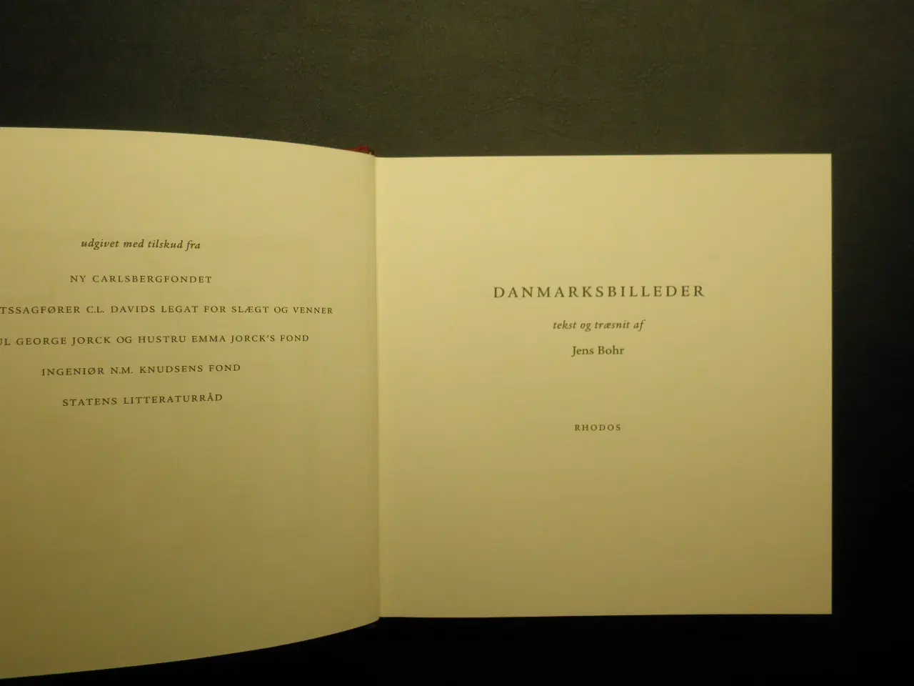Billede 3 - Danmarksbilleder - Tekst og træsnit af Jens Bohr