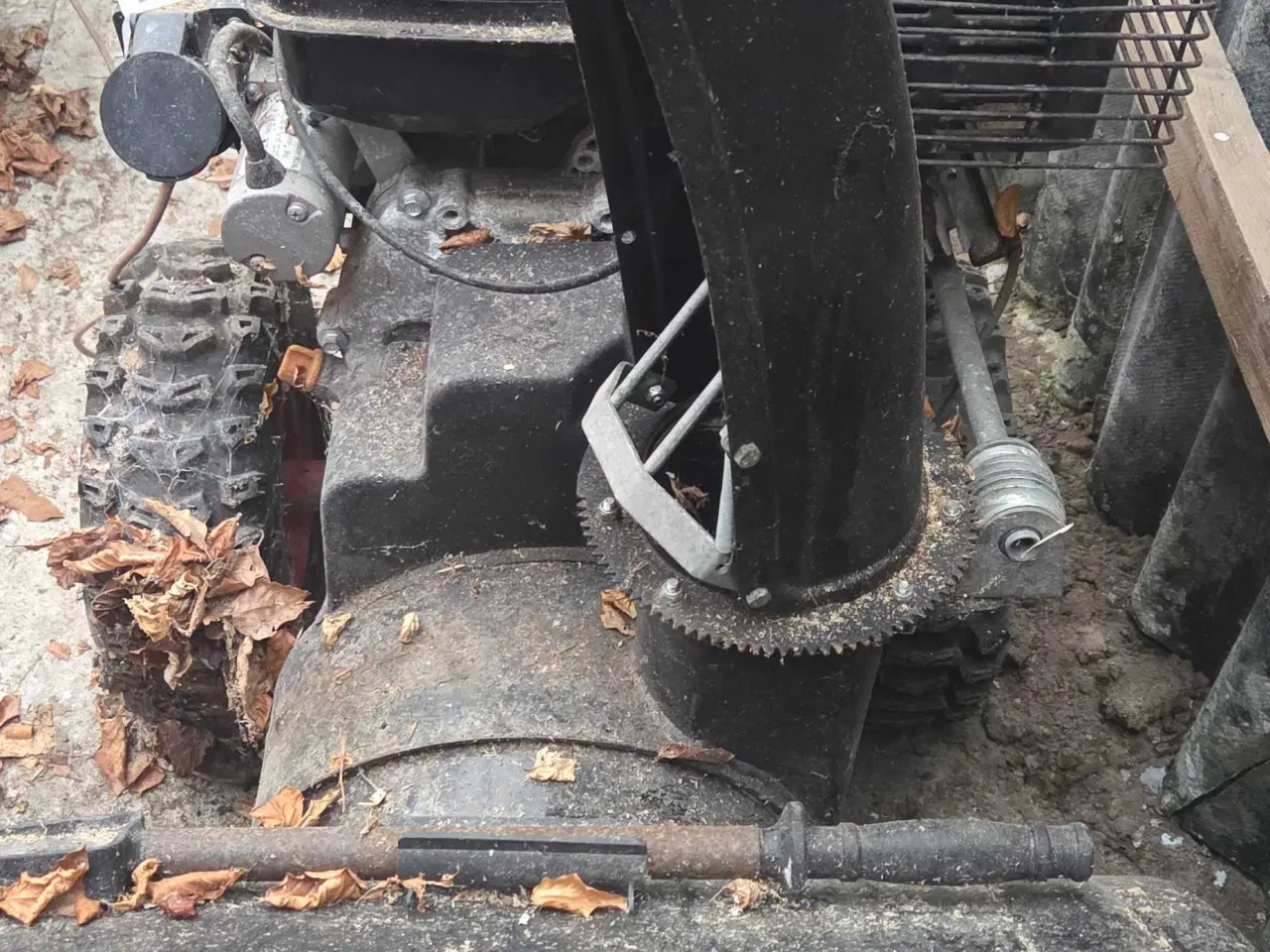 Billede 3 - Snedlynge