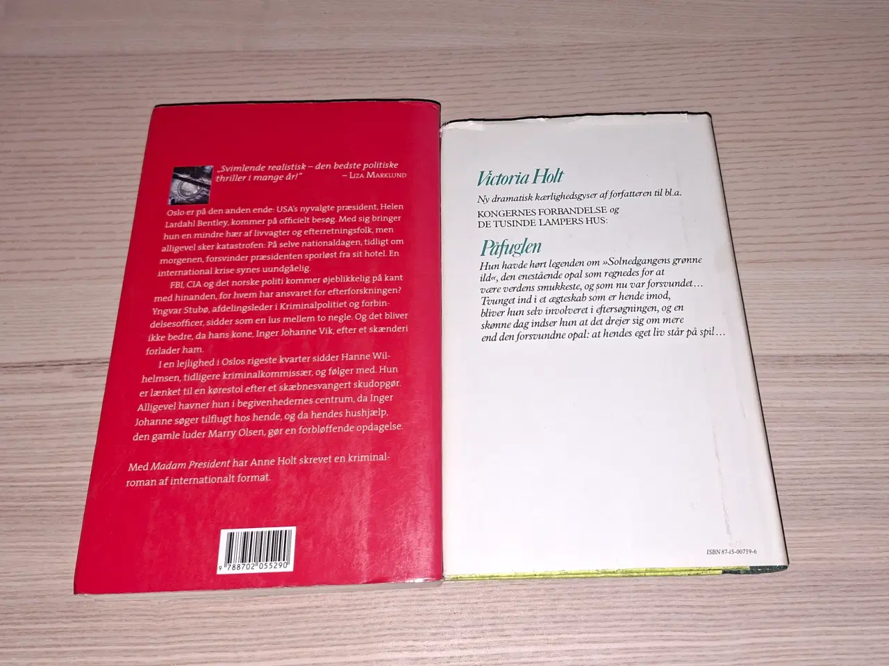 Billede 14 - Karen Fastrup, Udfordringen