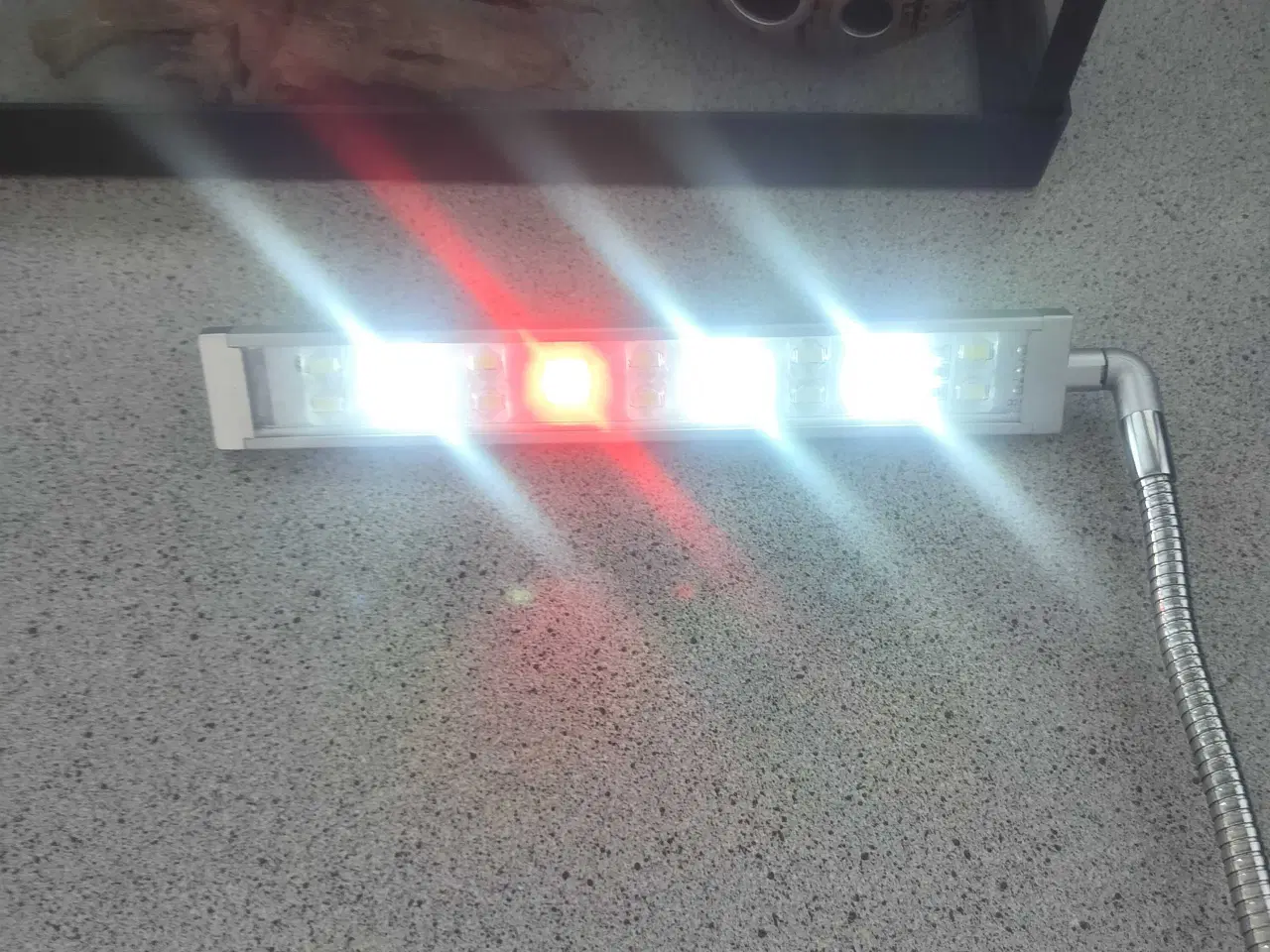 Billede 3 - Fedt akvarie 