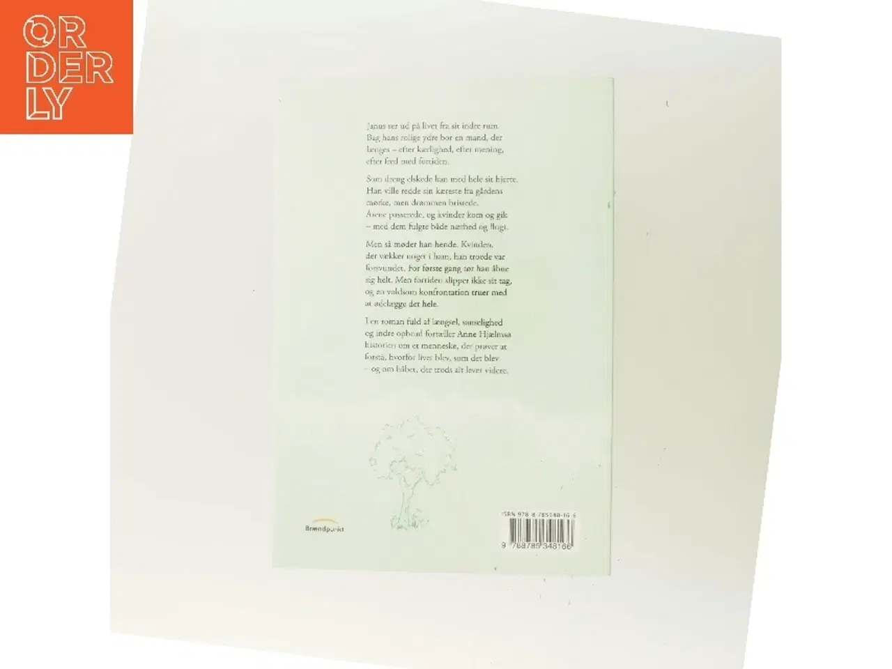 Billede 3 - Meget kunne have været anderledes : roman af Anne Hjælmsø (Bog)