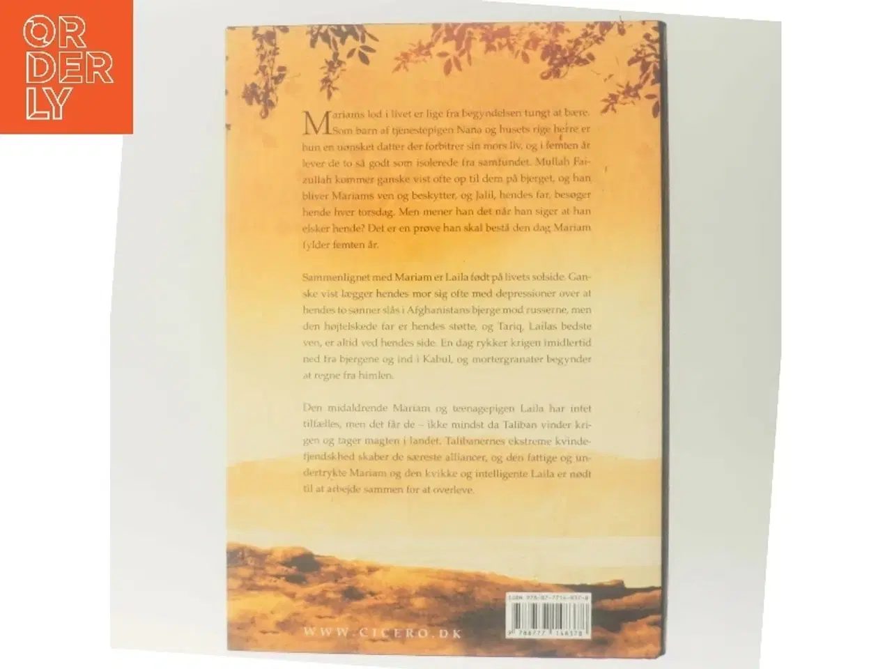 Billede 3 - Under en strålende sol af Khaled Hosseini (Bog)