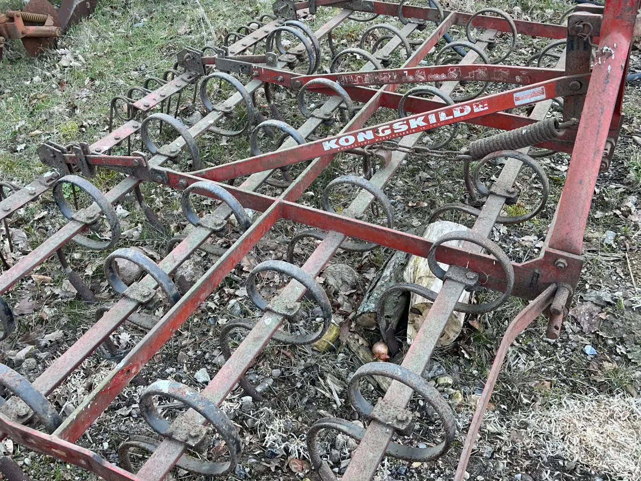 Billede 2 - Kongskilde