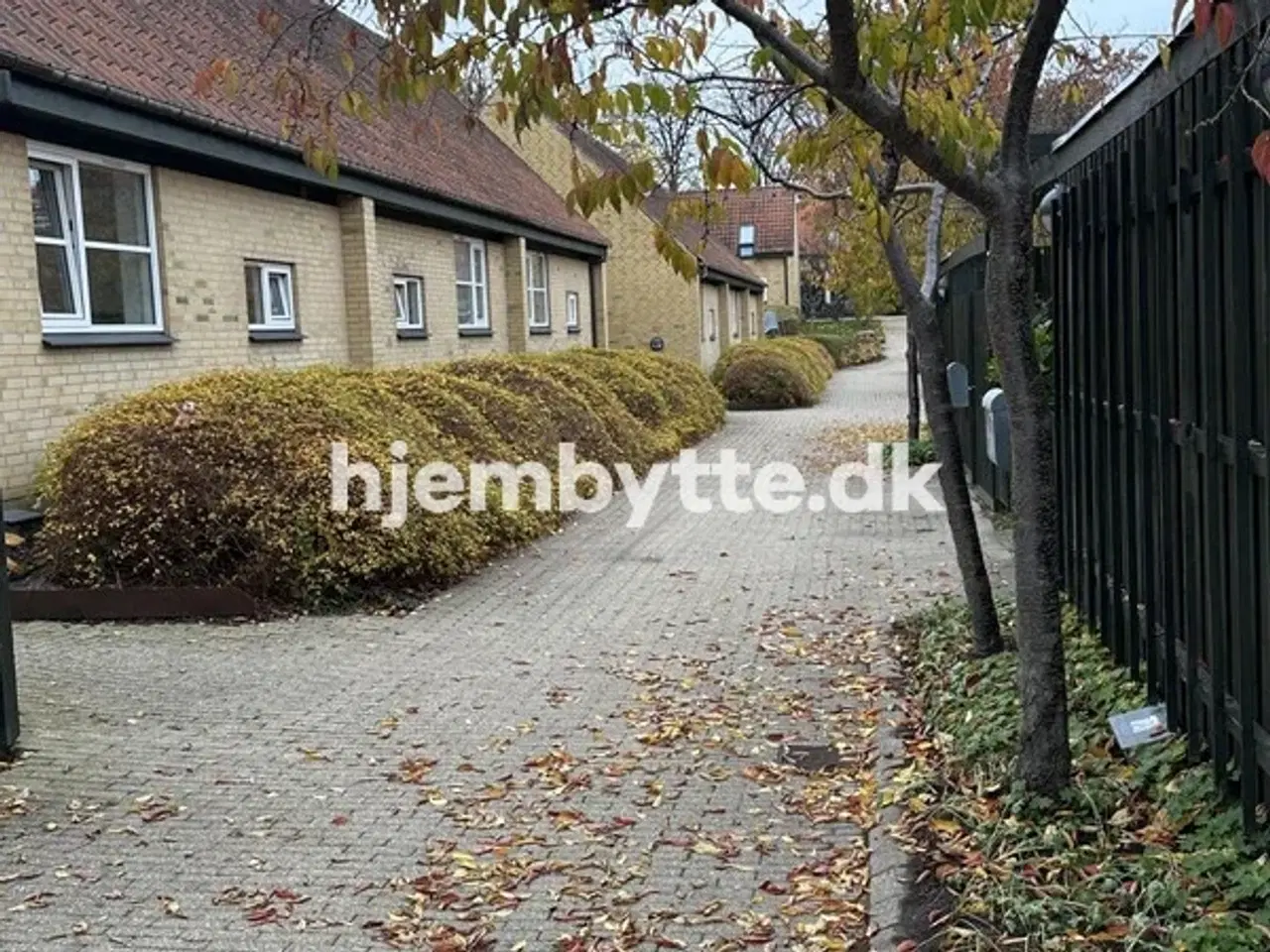 Billede 9 - Hjembytte - Elmeparken