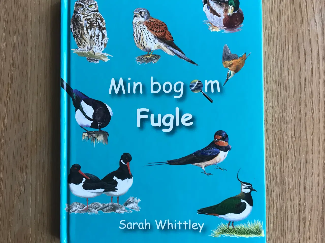 Billede 1 - Min bog om Fugle