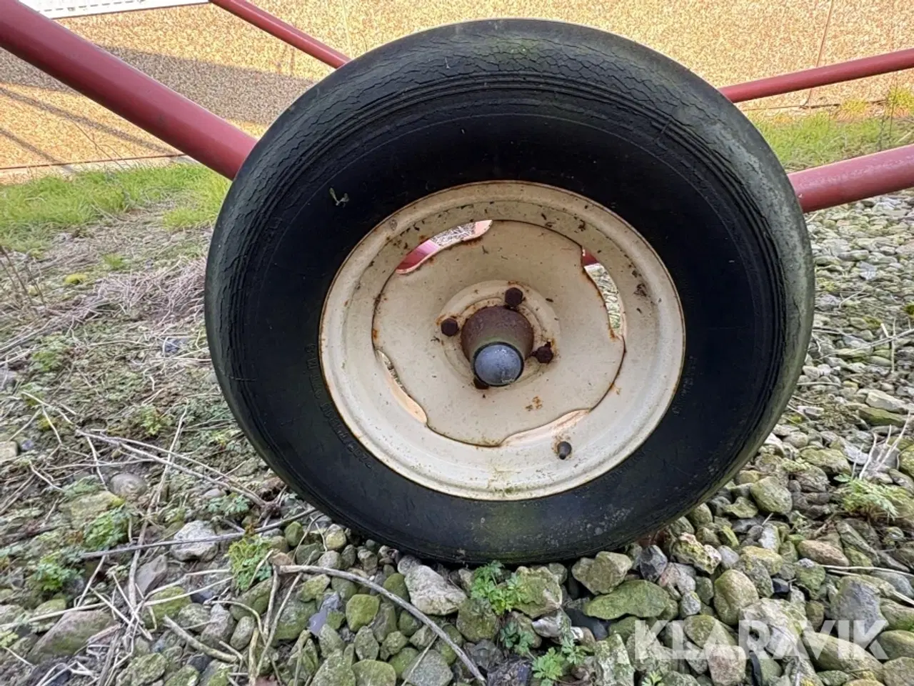 Billede 8 - Kornsnegl Hutchinson