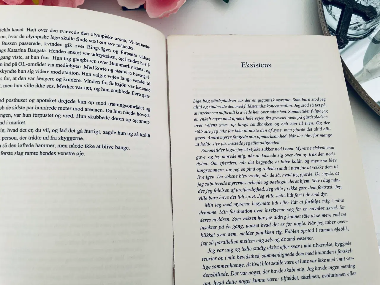 Billede 2 - Nedtælling - Liza Marklund 