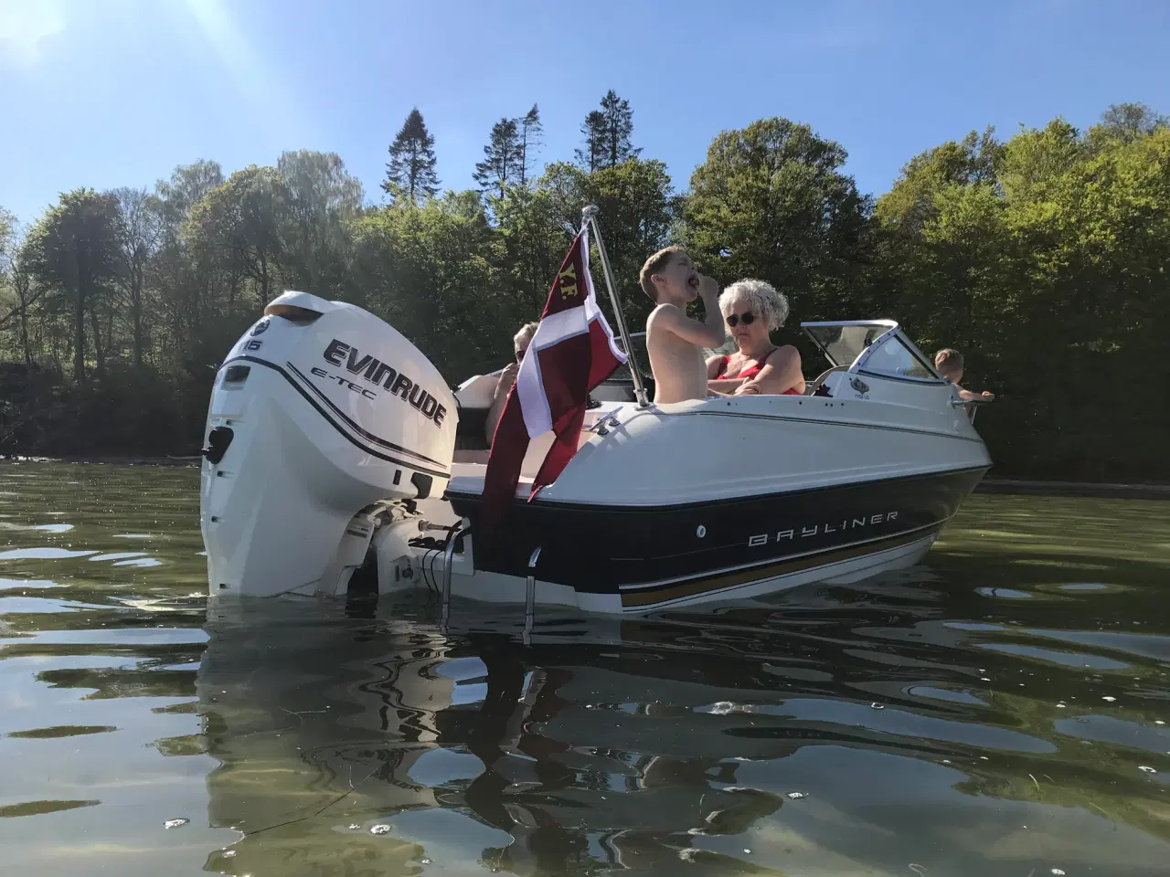 Billede 2 - Bayliner 1702 DayCruiser