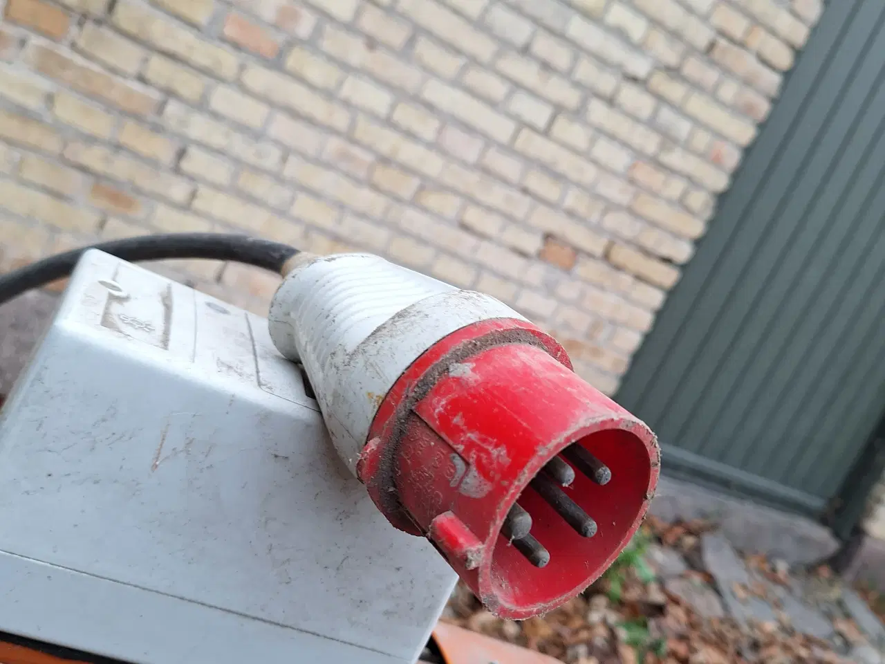 Billede 5 - Stor Kornsnegl "virker"