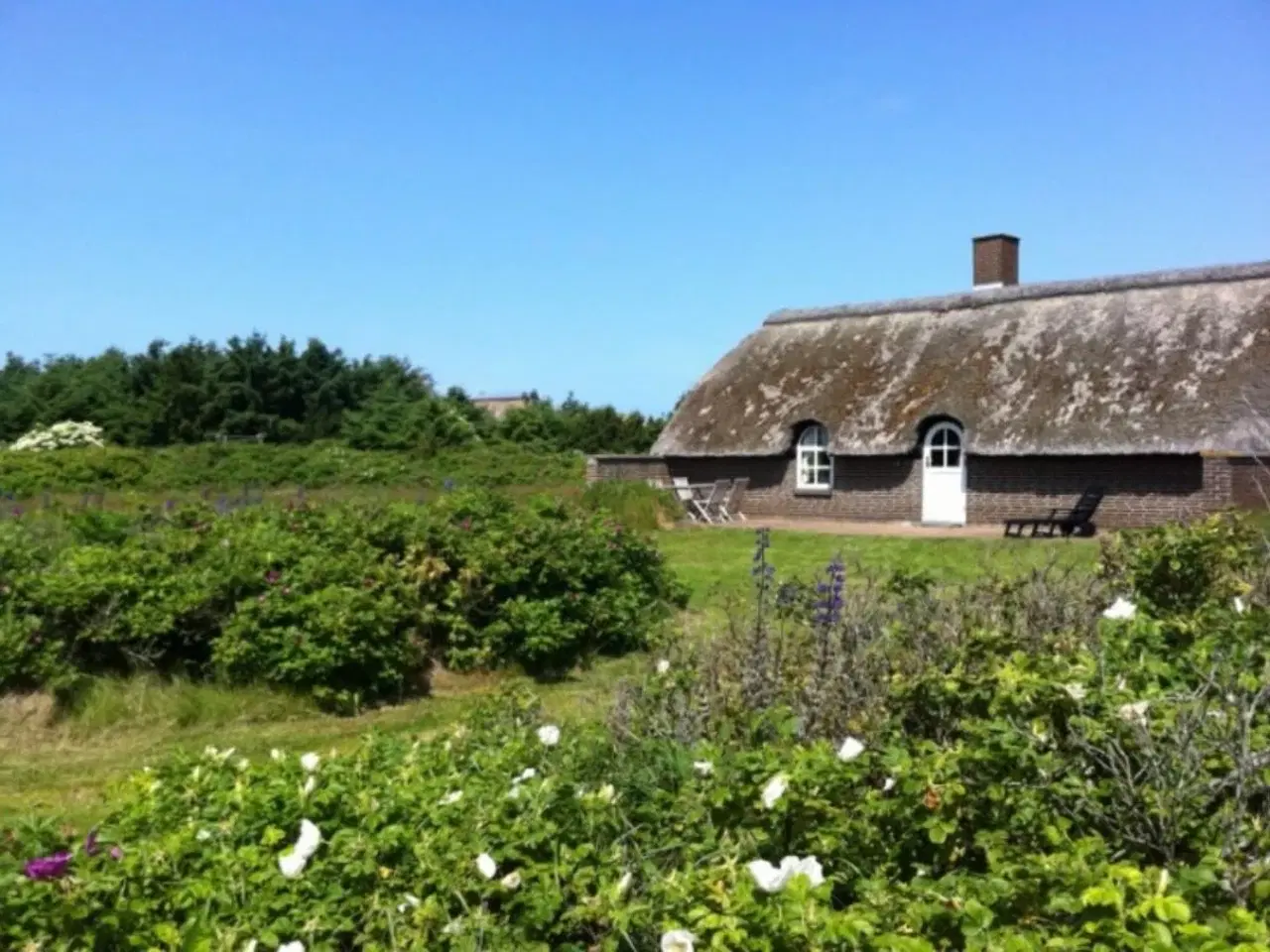 Billede 3 - VEDERS� KLIT MED INTERNET OG KUN 400 METER TIL VESTERHAVET