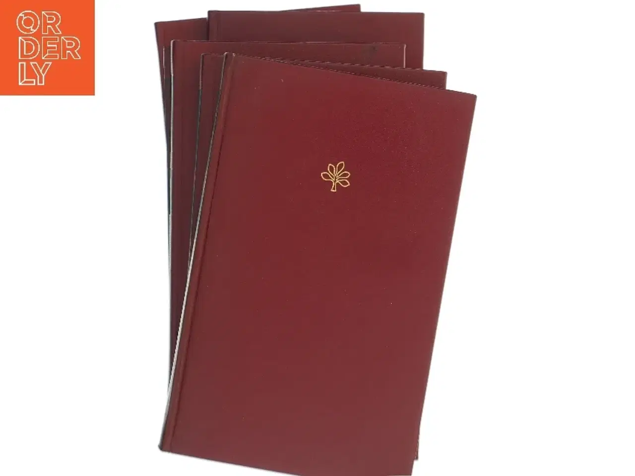 Billede 1 - Jammers Minde af Leonora Christina (Bog)