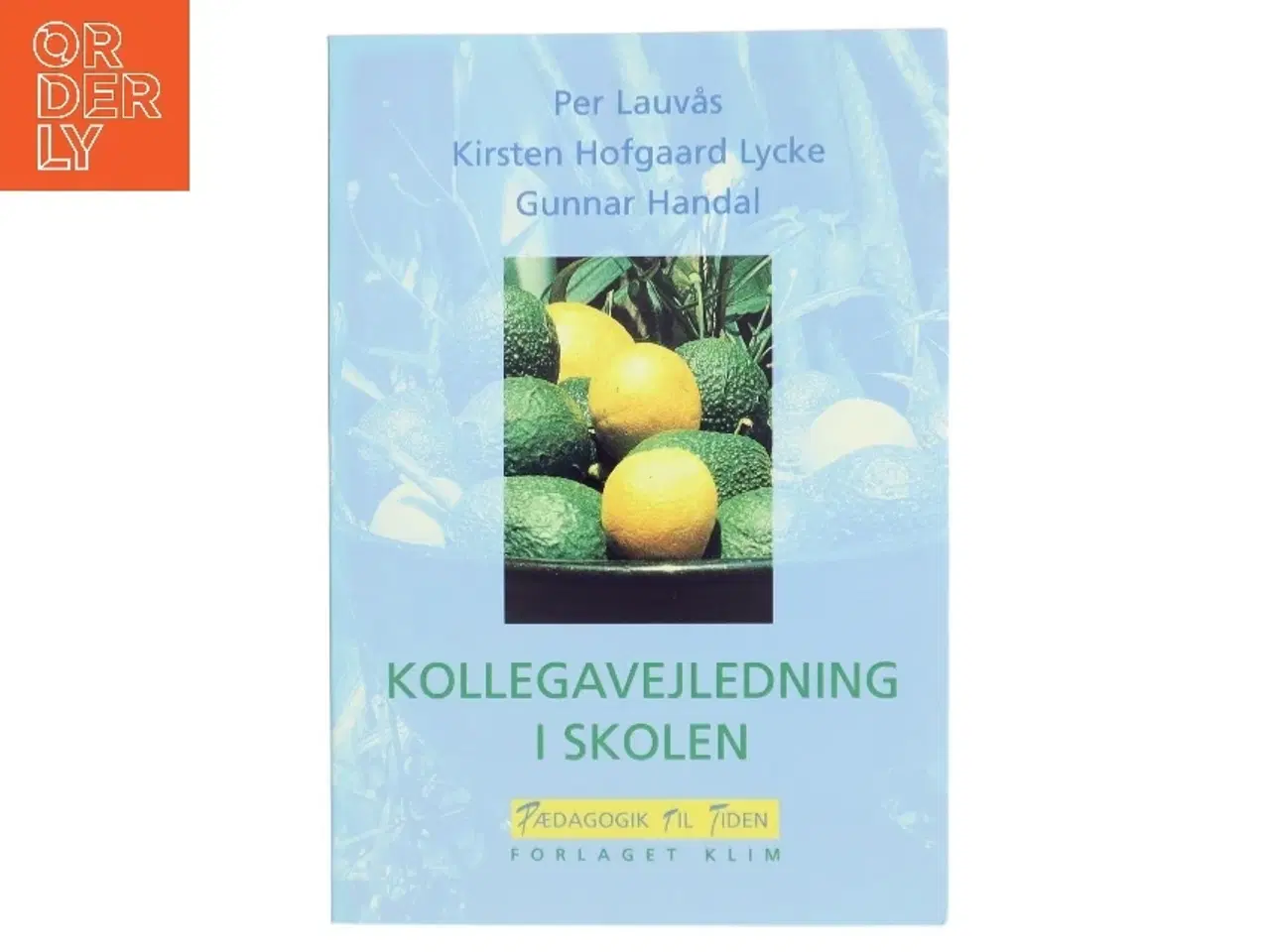 Billede 1 - Kollegavejledning i skolen bog fra Forlaget Klim