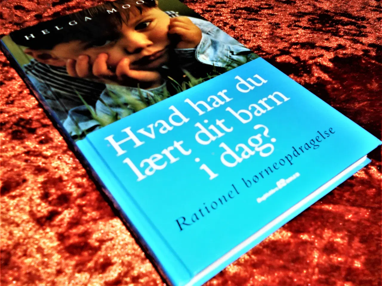 Billede 1 - Hvad har du lært dit barn i dag, Helga Moos