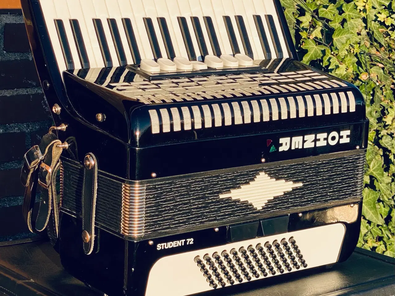 Billede 3 - Hohner Student 72 – allround harmonika sælges fra 