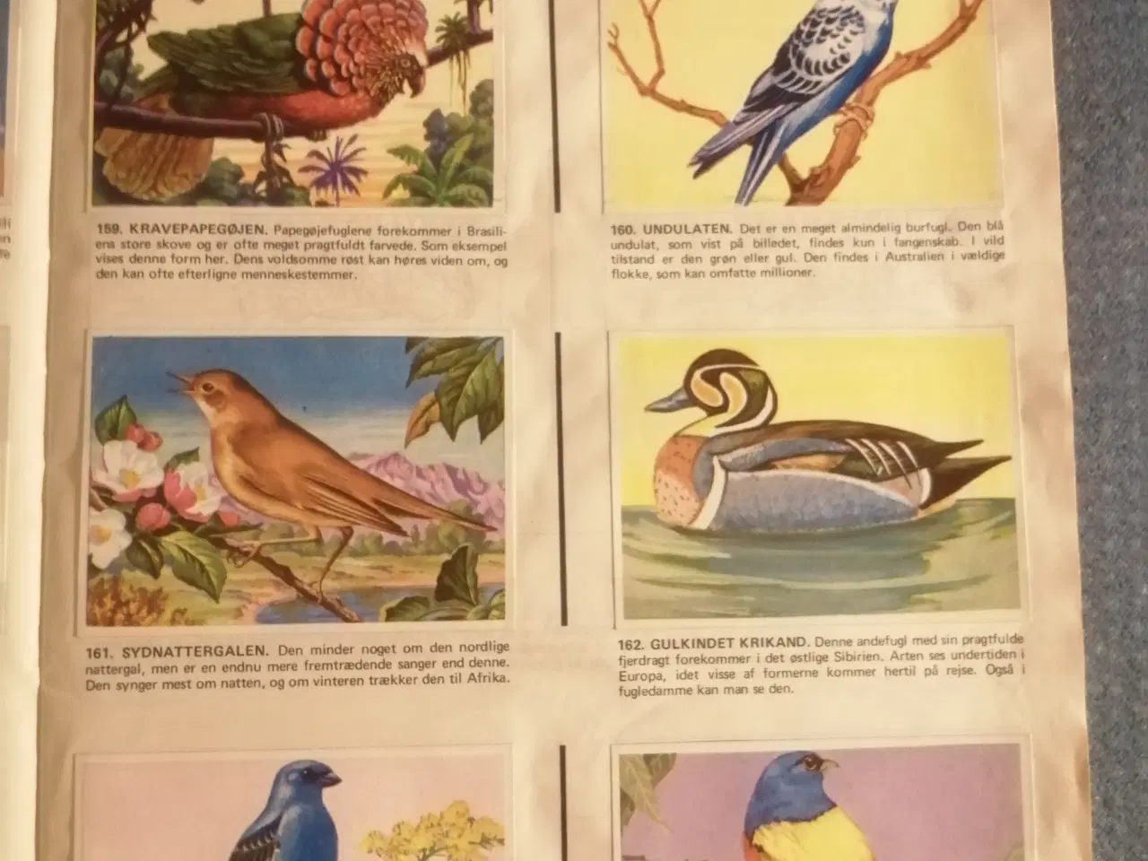 Billede 2 - Naturens Vidundere Samlealbum