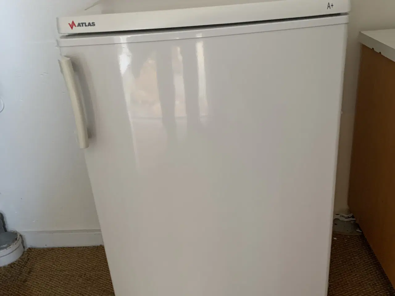 Billede 1 - Lille Skabsfryser