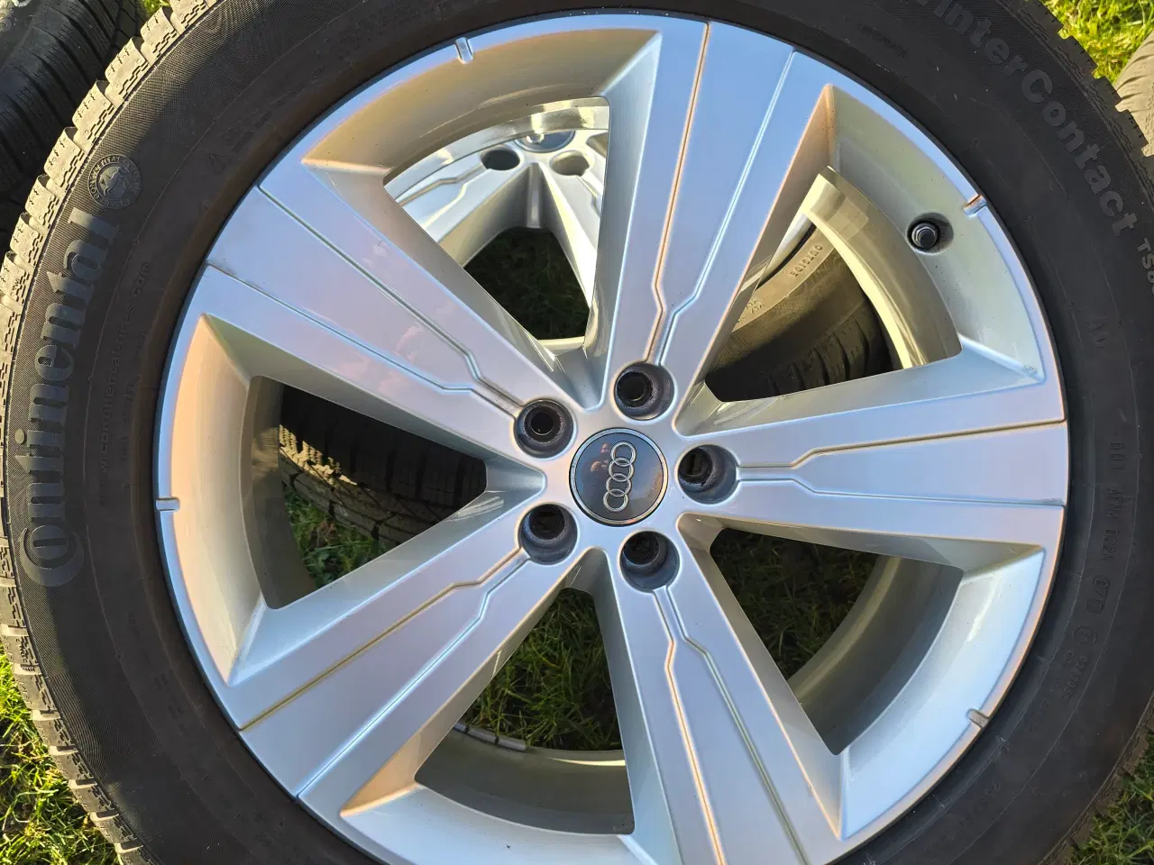 Billede 1 - 20" ORIGINALE AUDI Q7 vinterhjul CONTINENTAL