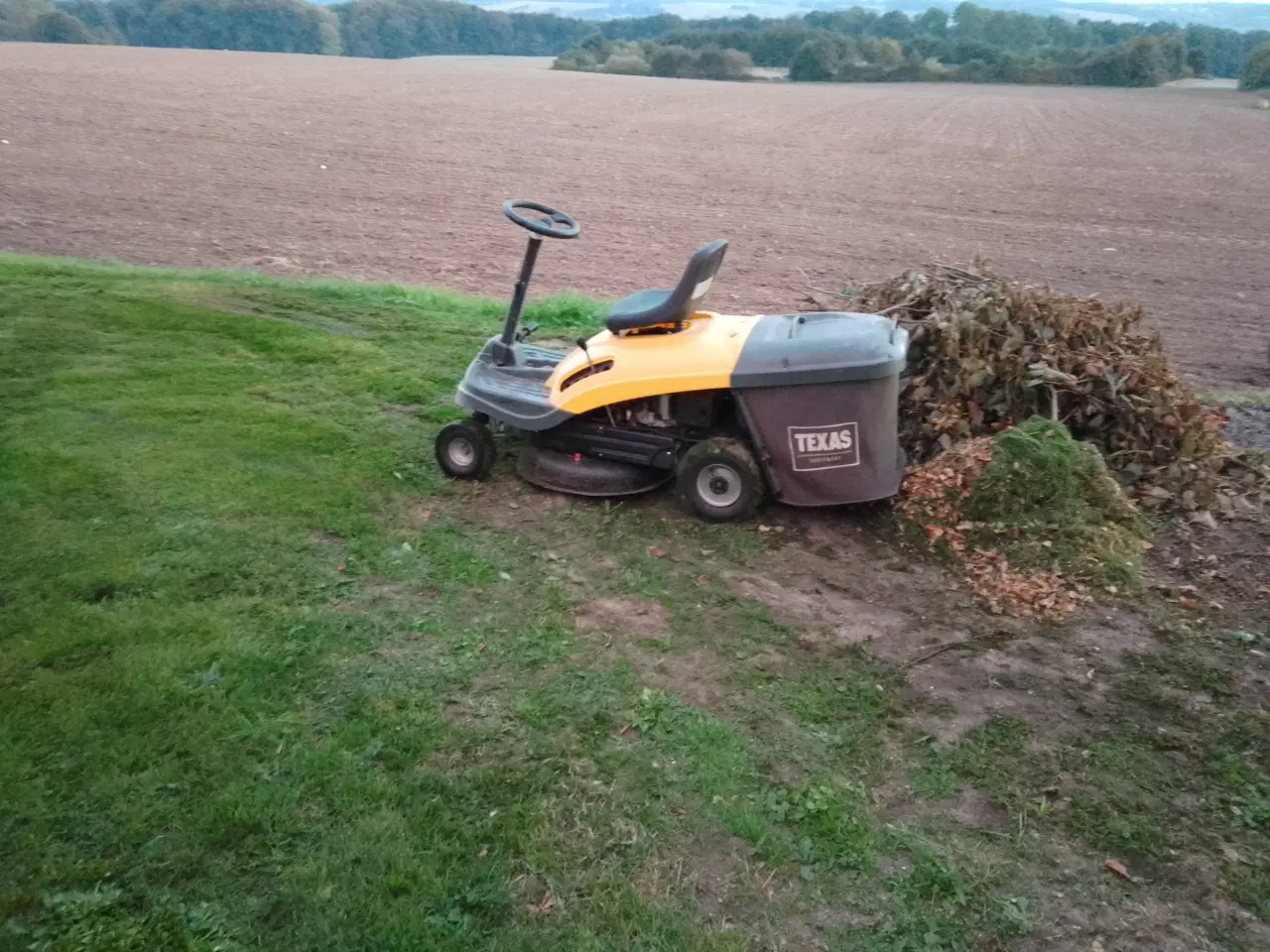 Billede 1 - Texas Rider Havetraktor med opsamler