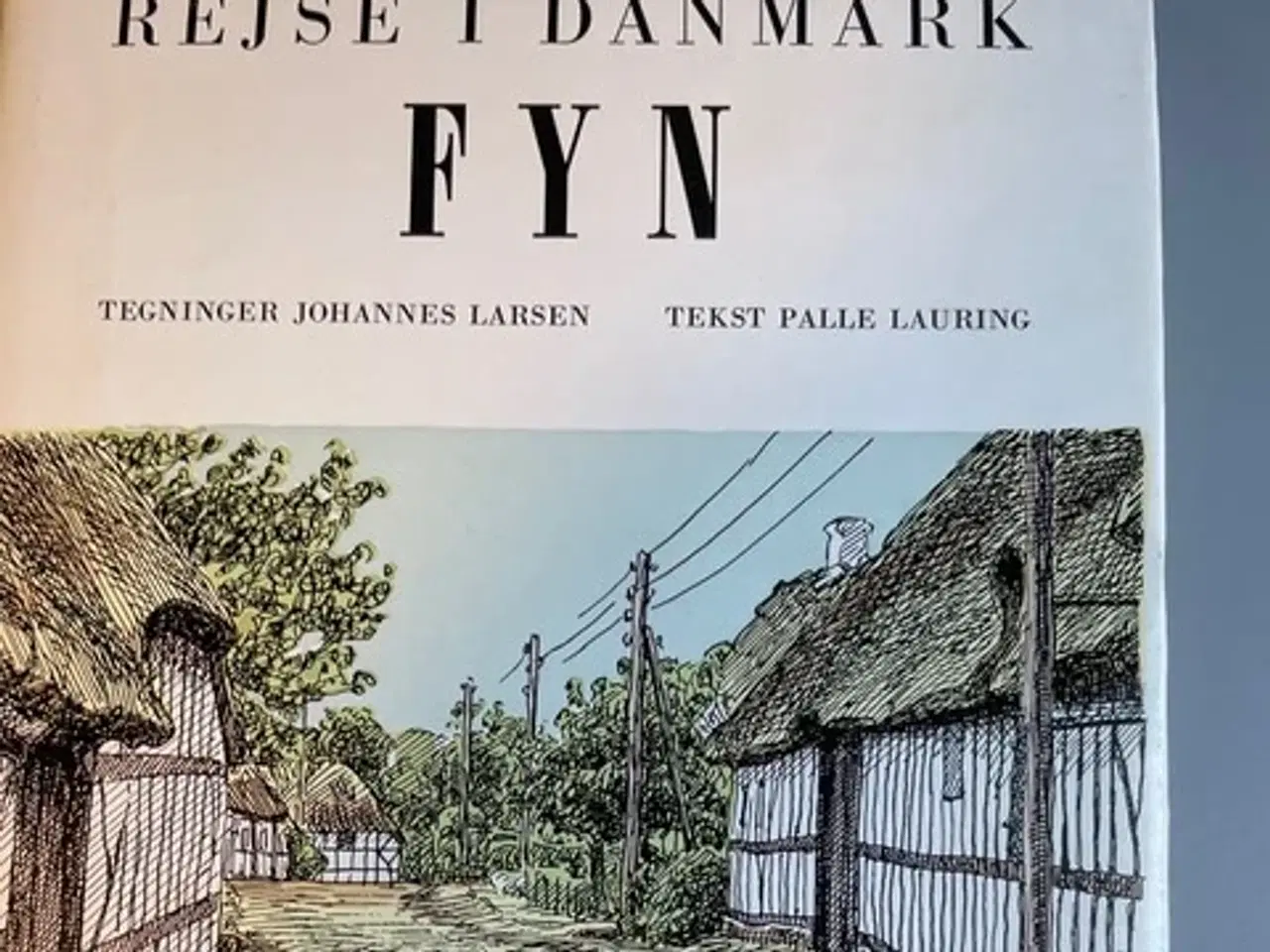 Billede 4 - Rejse i Danmark. 7 bind.