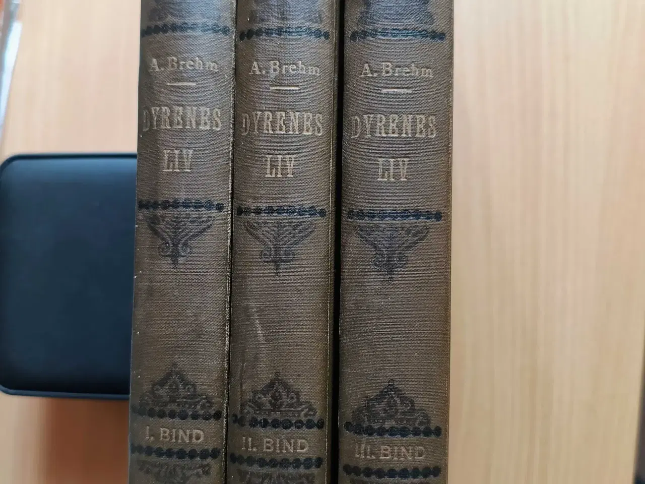 Billede 2 -  Dyrenes liv