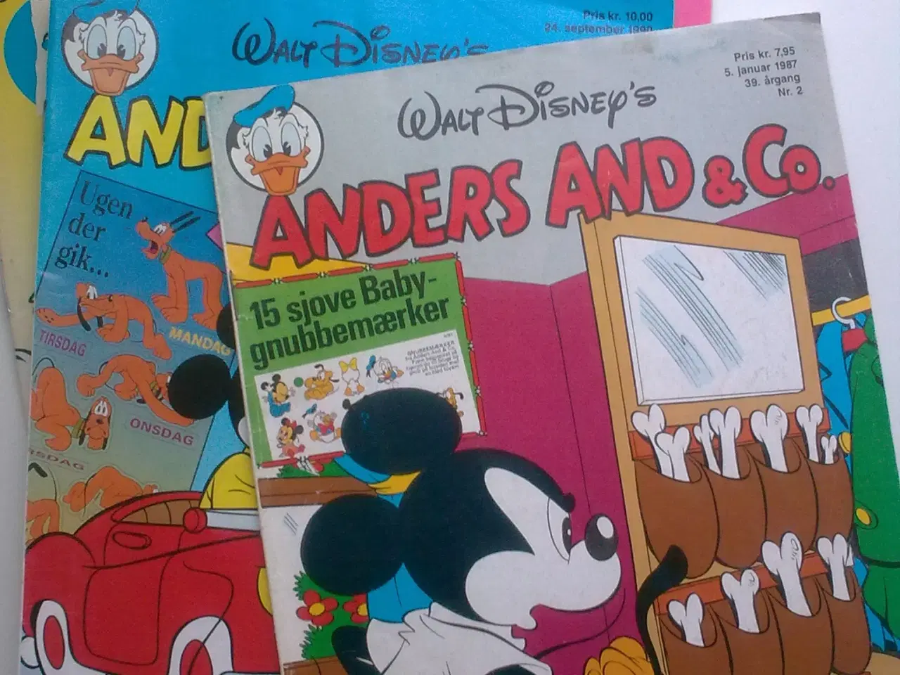 Billede 16 - Hundeskål i eller vagthund ved siden & hund TEMA