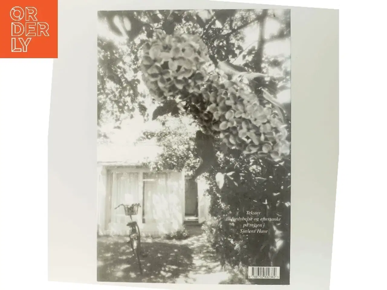 Billede 3 - Pilgrim i hjertet : essays, digte og fortællinger af Majbritte Ulrikkeholm (Bog)