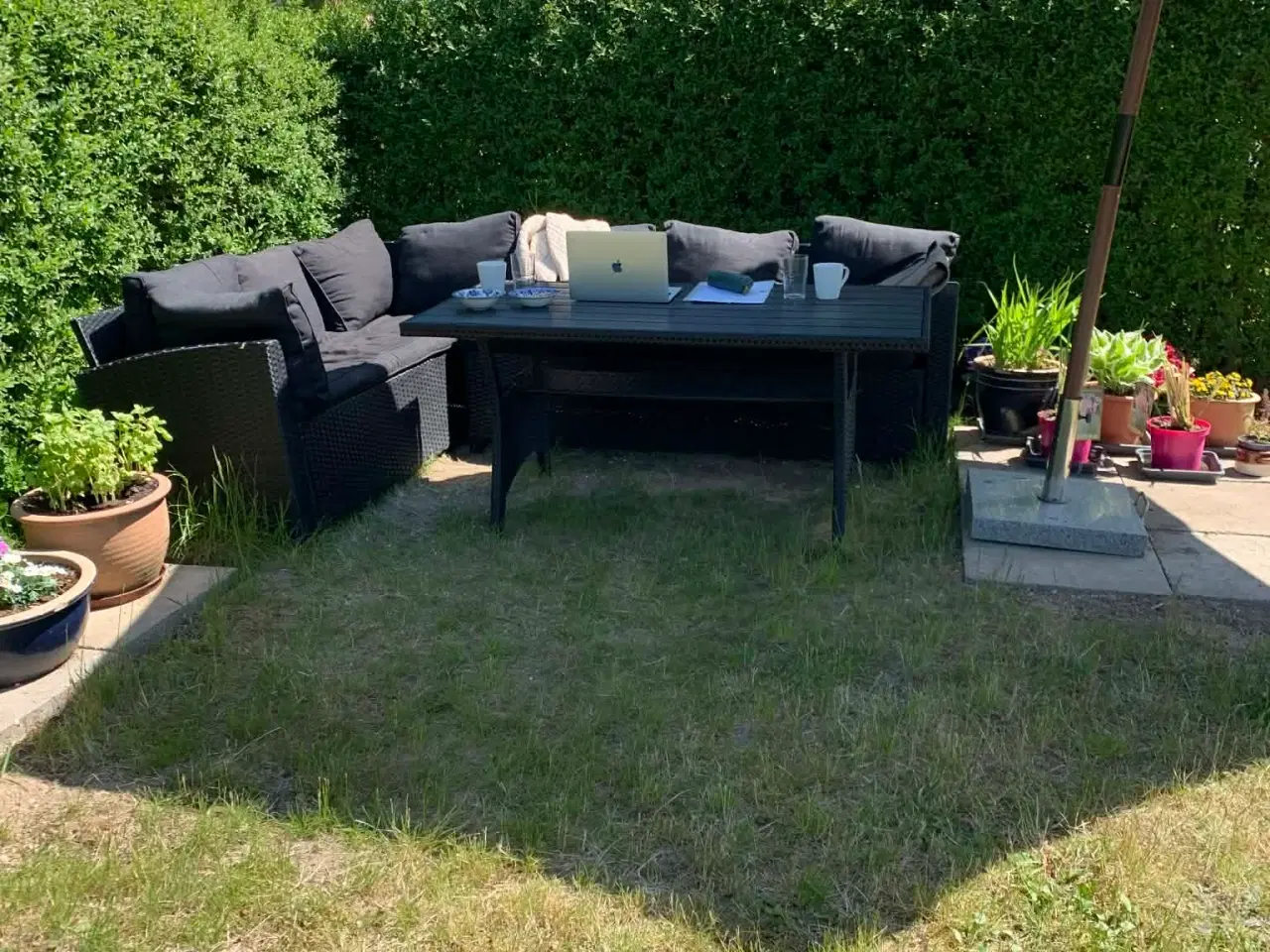 Billede 11 - Kolonihave i Odense C