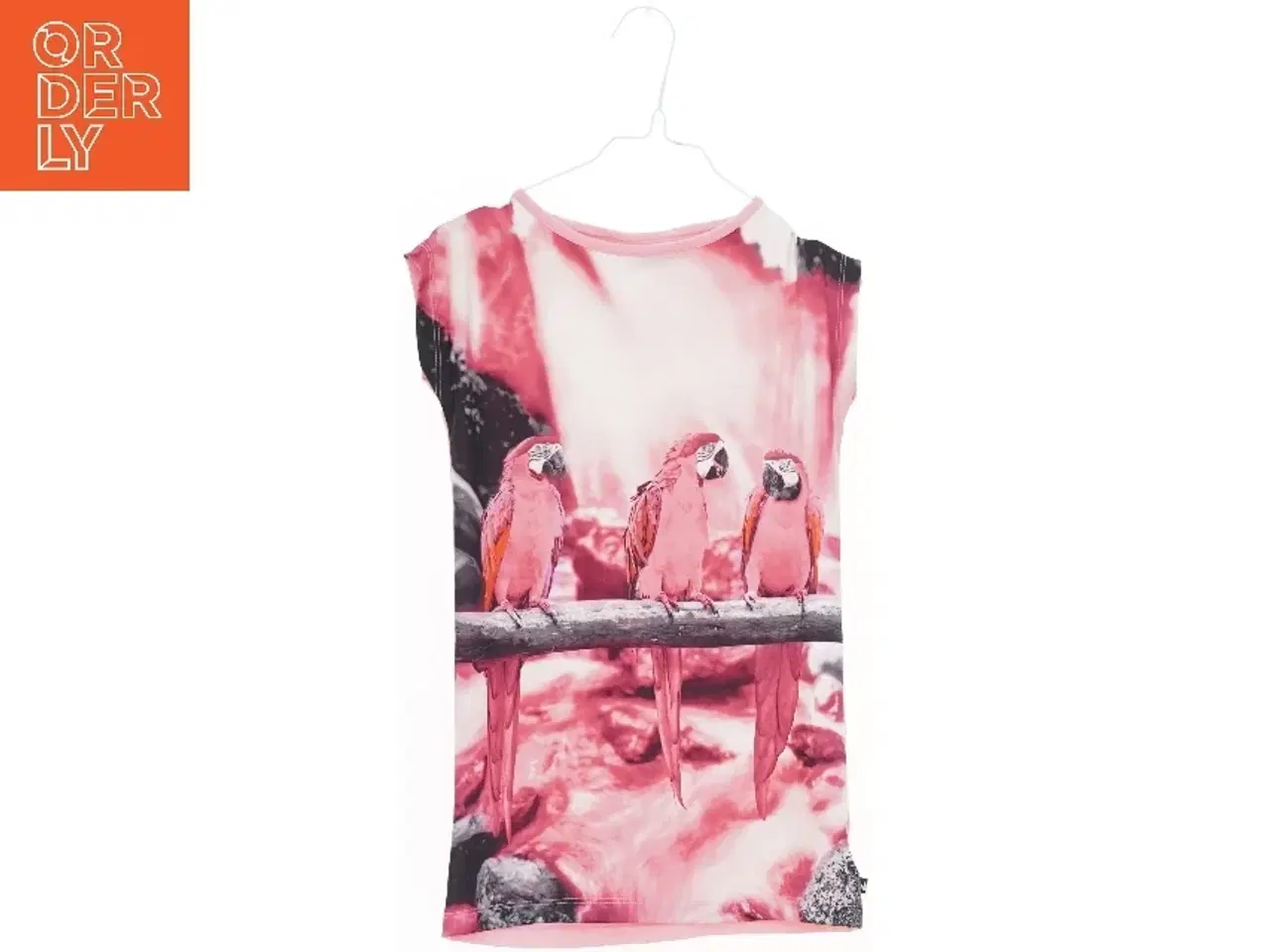 Billede 1 - T-shirt med papegøjemotiv fra Royal Rebels (str. 104)