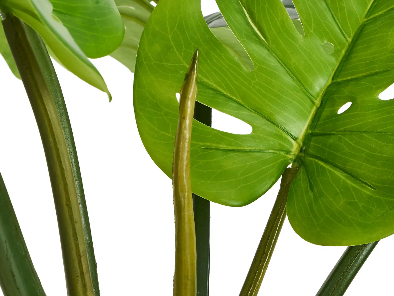 Billede 2 - Kunstig plante Monstera 110 cm. 
