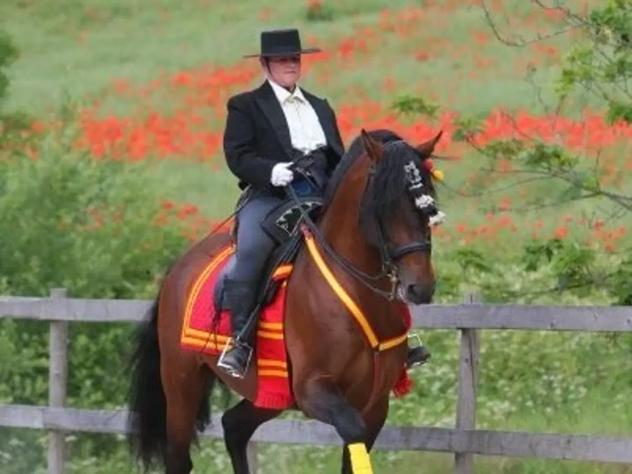 Billede 1 - Unik sadel