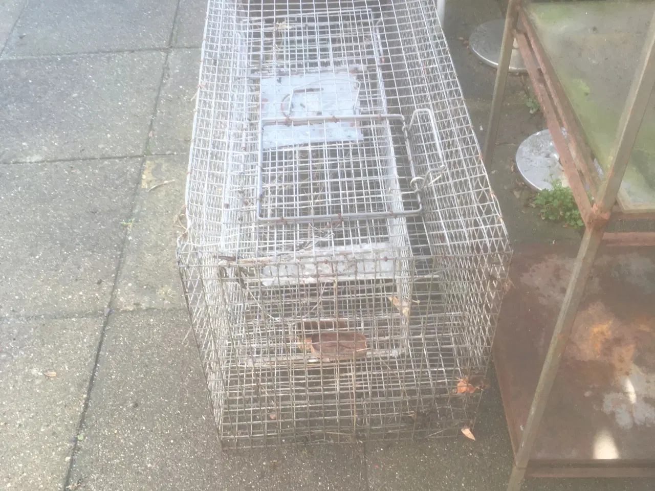 Billede 2 - Ræve/+mår fælder