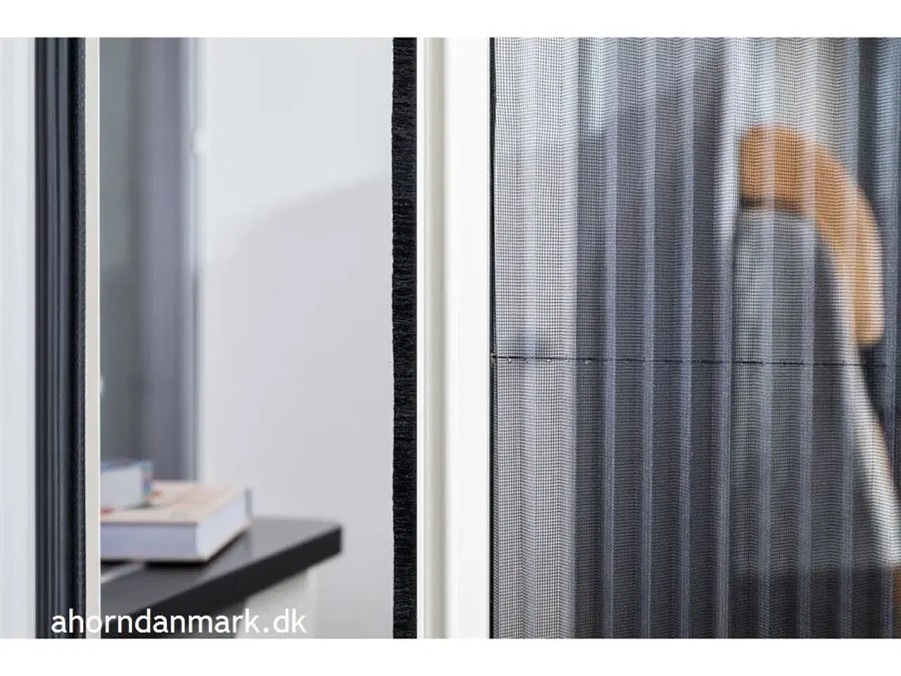 Billede 13 - 2025 - Ahorn Canada AE   Canada AE 2024