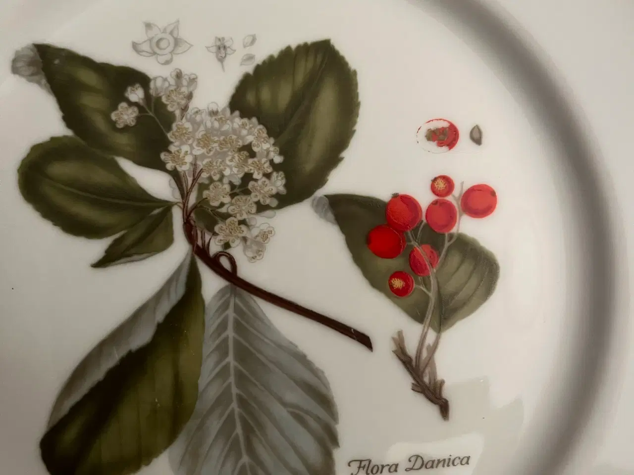 Billede 3 - Flora Danica tallerkener 