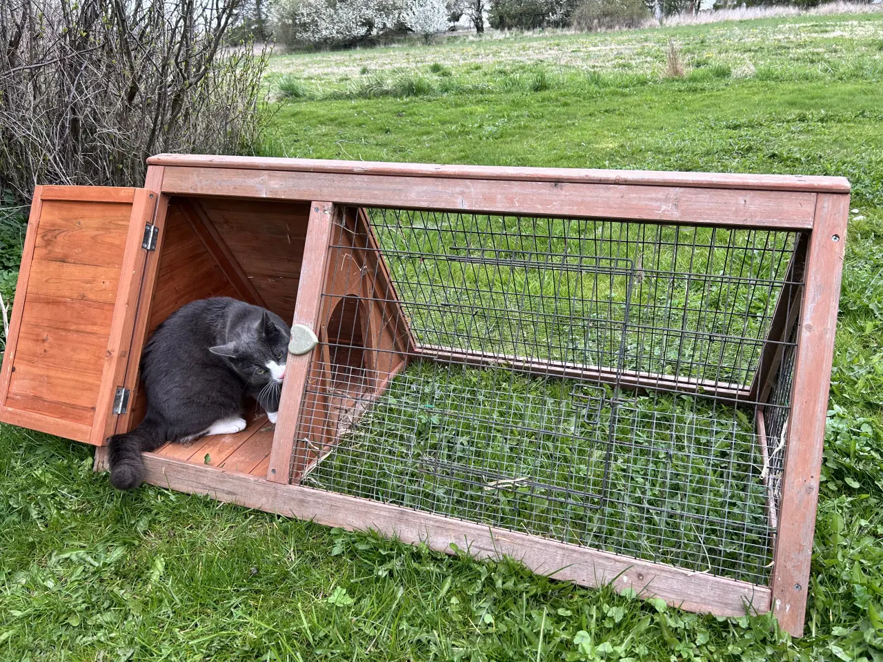 Billede 3 - Udendørs gnaverbur