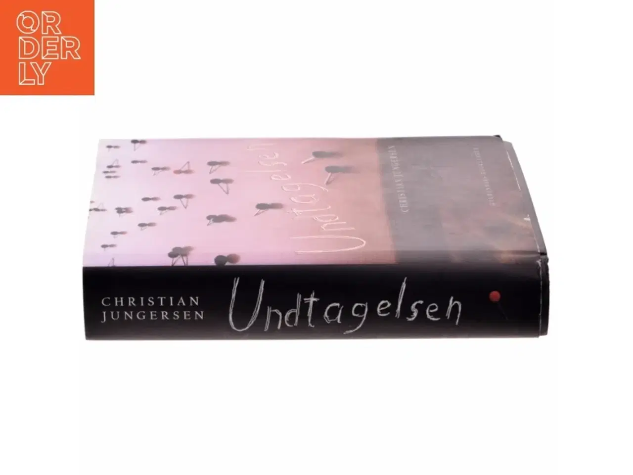Billede 2 - Undtagelsen : roman af Christian Jungersen (Bog)