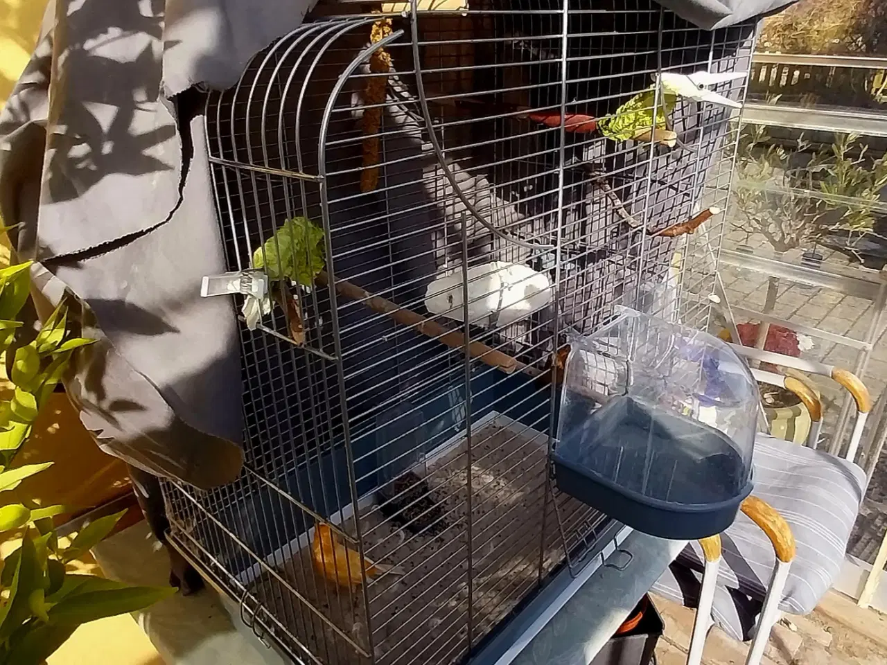 Billede 1 - fuglebur med tilbehør og 2 fugle