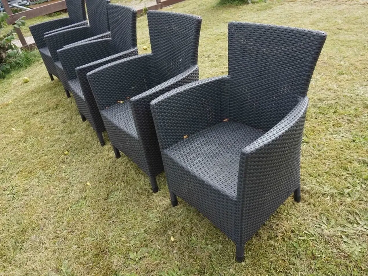 Billede 4 - 5 stk Havestole Rattan