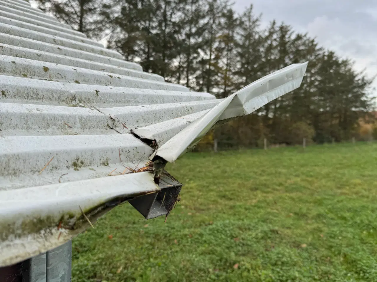 Billede 8 - Hesteskur