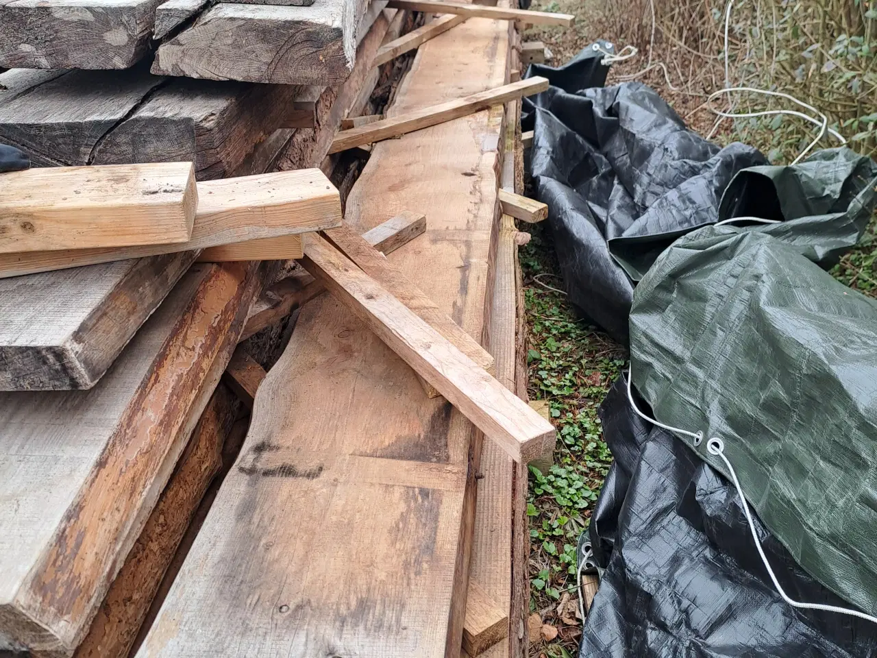 Billede 1 - Lærke træ kerne træ