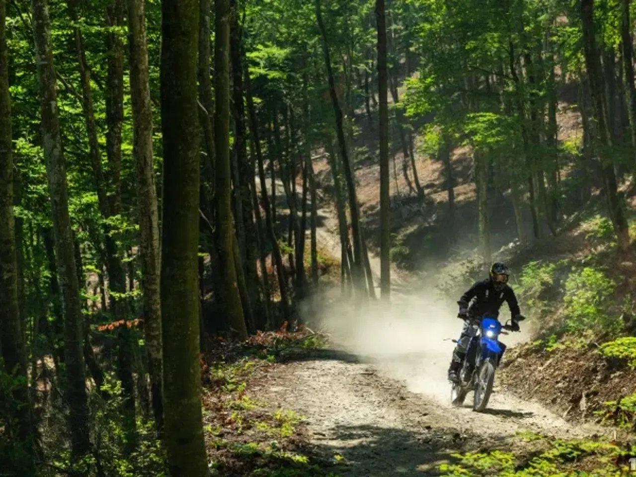 Billede 20 - Yamaha WR 125 R