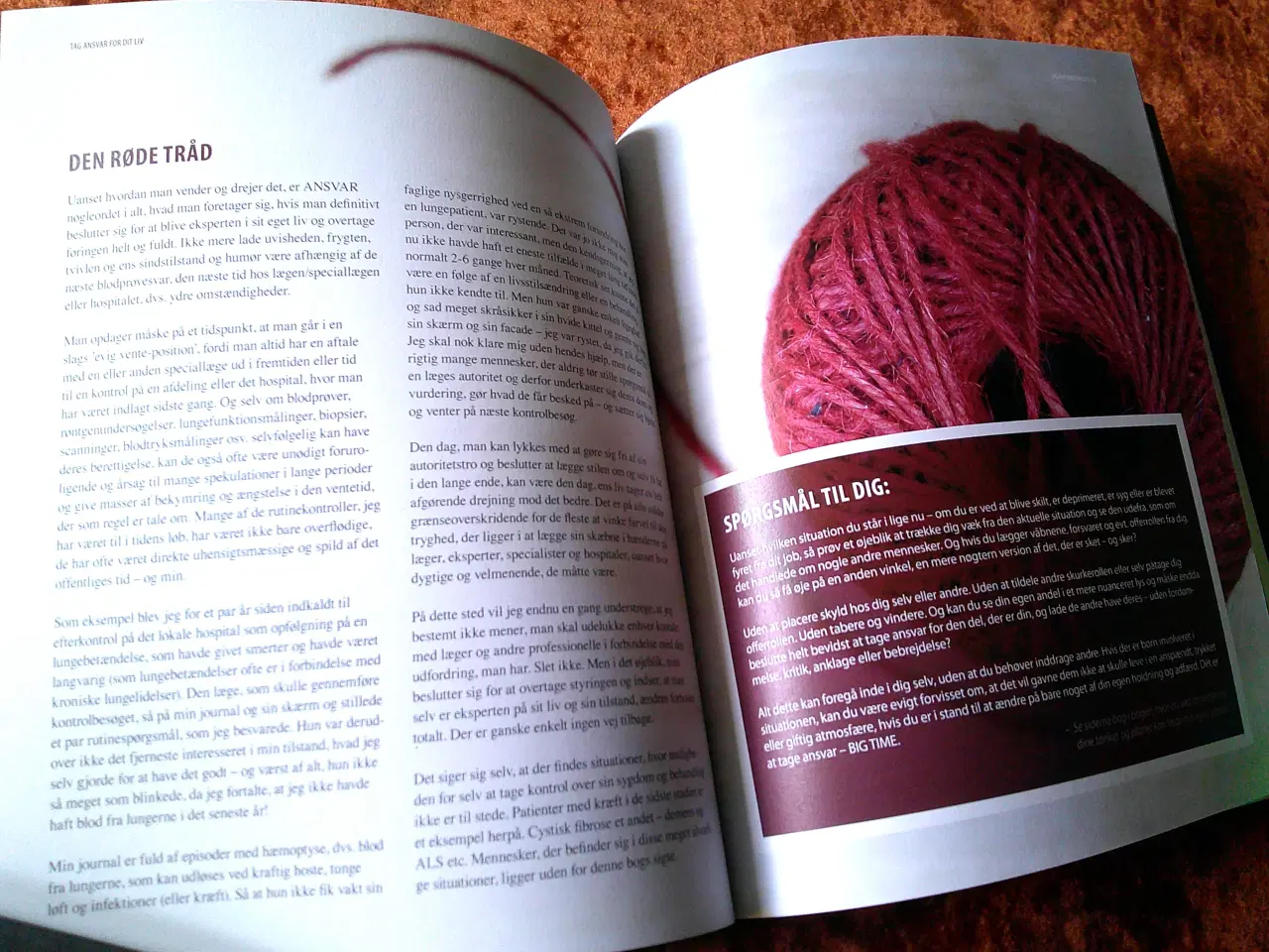 Billede 3 - Diabetes, lev godt med type 2-diabetes, Lise Pent