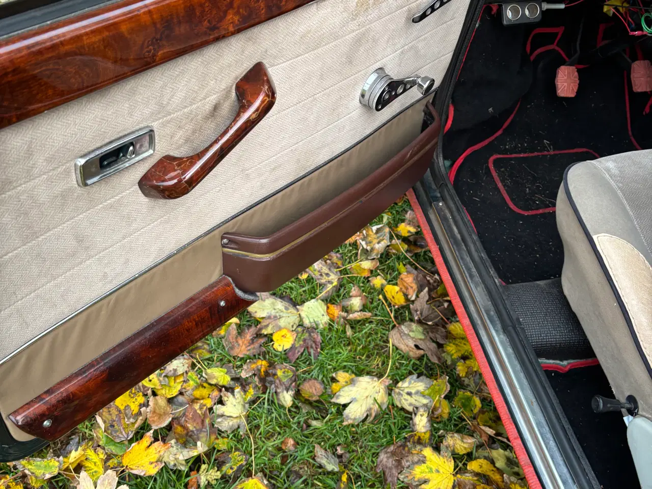 Billede 7 - Morris Mascot