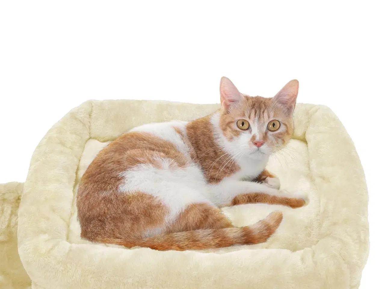 Billede 6 - Kattetræ med ekstra bred liggeplads – beige PCT51M