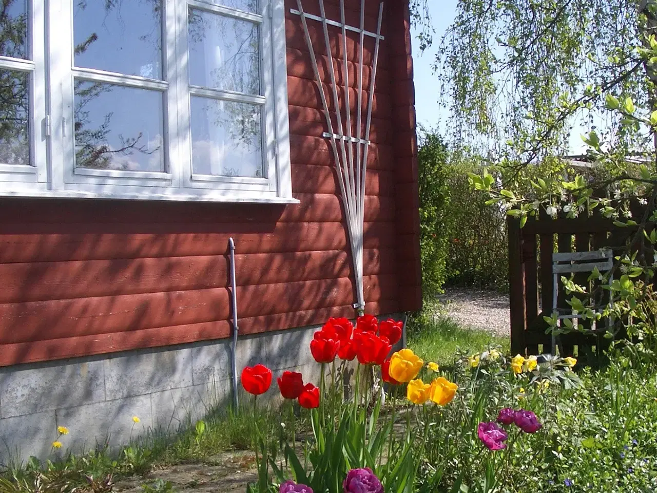 Billede 3 - Kolonihave Holbæk 