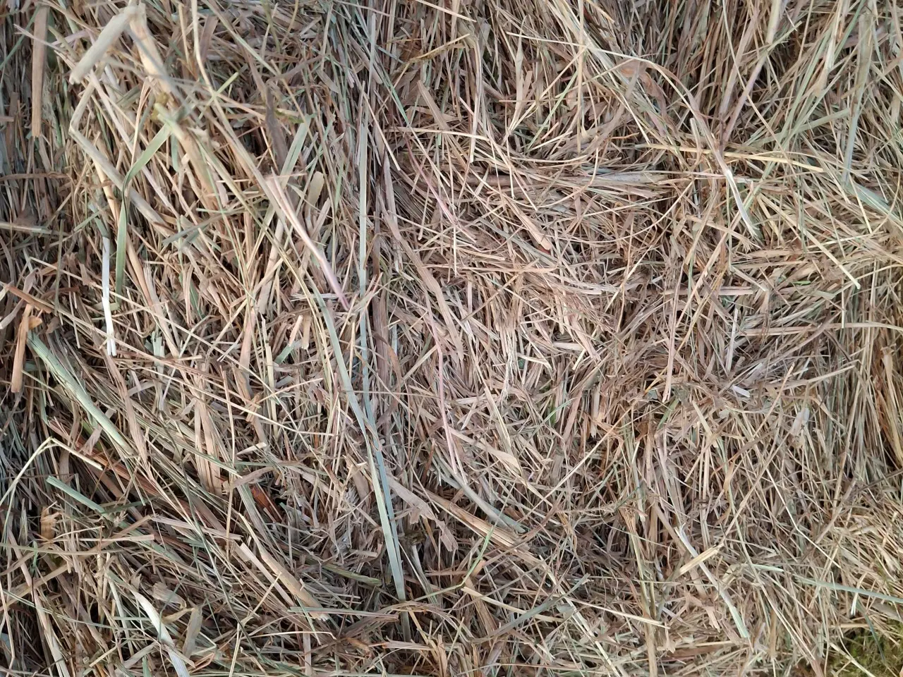 Billede 2 - Prima tørt hø
