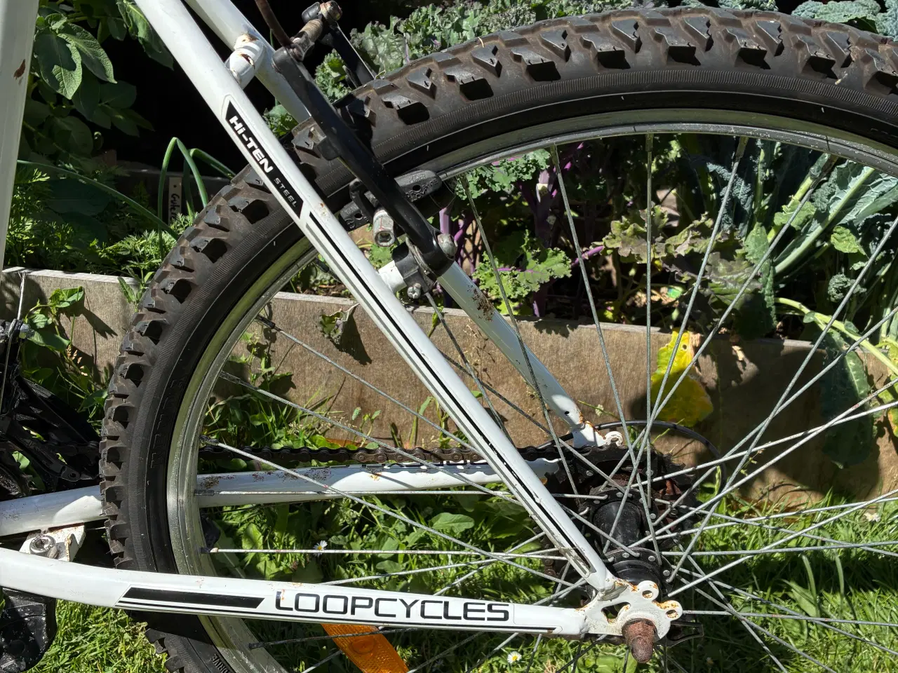 Billede 6 - Loop Mountainbike 26”