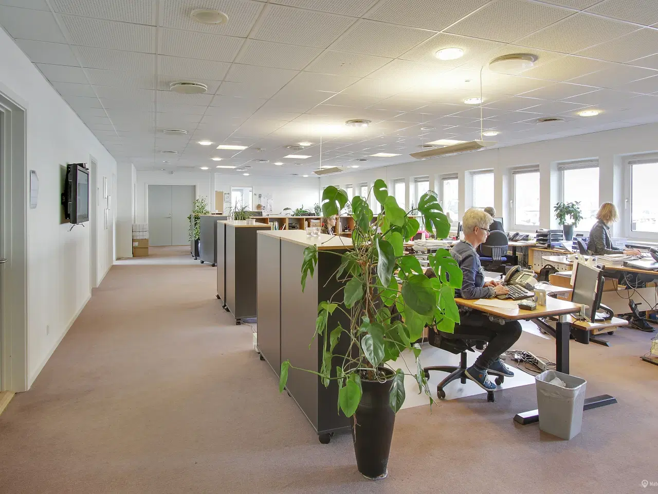 Billede 7 - Velindrettede lokaler til kontorbrug eller undervisning