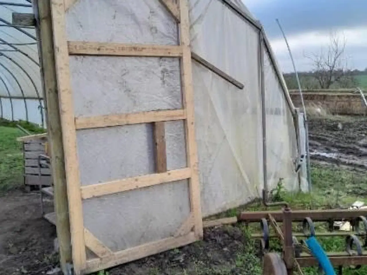Billede 4 - Tunneldrivhus