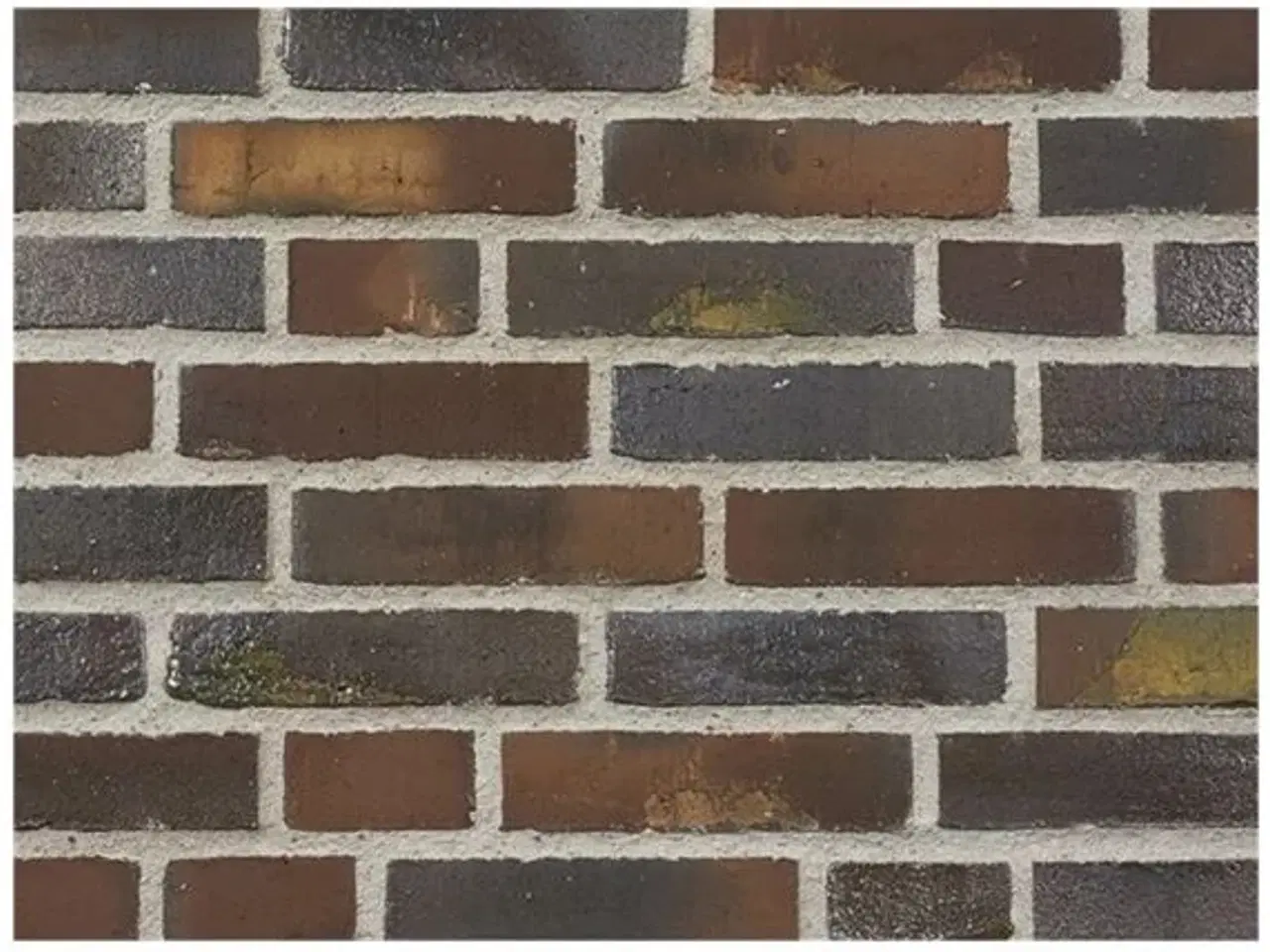 Billede 2 - Mursten - Facademursten Blødstrøgne - 2448 Willems