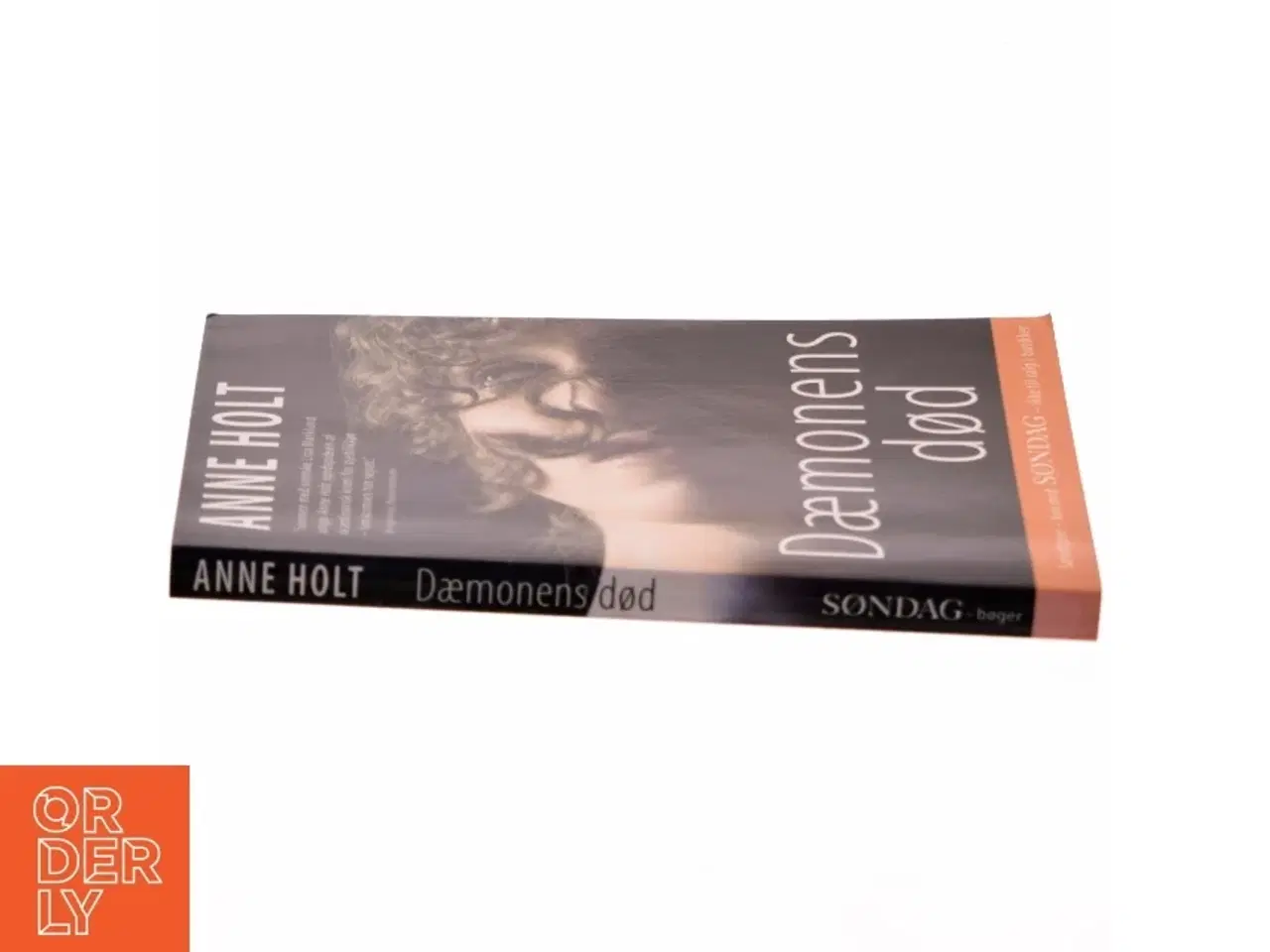Billede 2 - Dæmonens død af Anne Holt fra Gyldendal